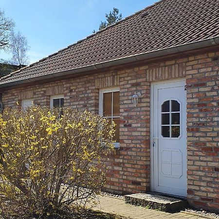 Ferienwohnungen Ruegen-Glueck Lohme Ngoại thất bức ảnh
